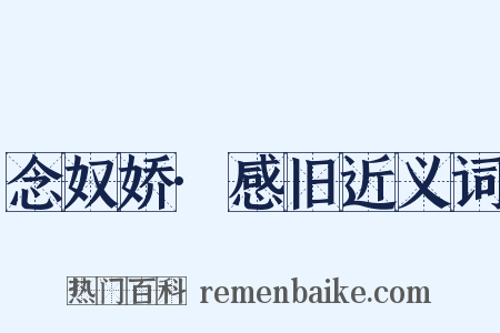 念奴娇·感旧近义词是什么意思的图片